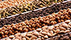 Roaster 106 torréfacteur de café, de fruits secs et de fèves de cacao